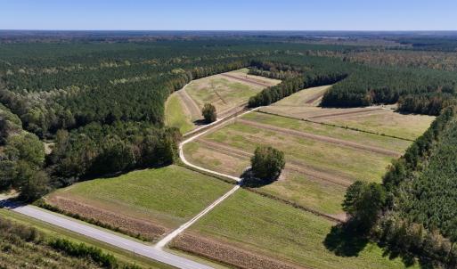 Photo #2 of Off Gaskins Rd, Grimesland, NC 135.3 acres