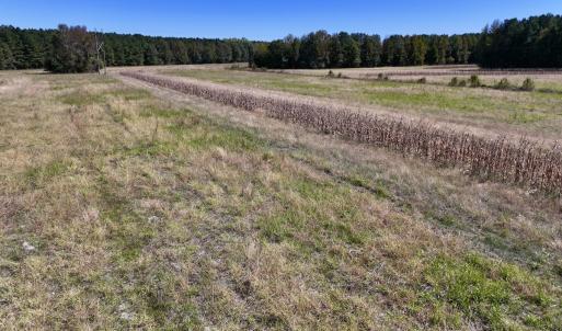 Photo #20 of Off Gaskins Rd, Grimesland, NC 135.3 acres