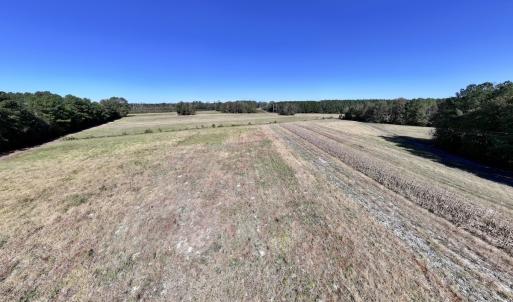 Photo #21 of Off Gaskins Rd, Grimesland, NC 135.3 acres