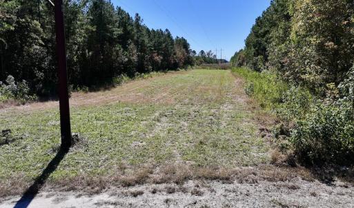 Photo #22 of Off Gaskins Rd, Grimesland, NC 135.3 acres