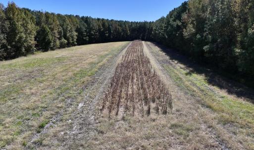 Photo #23 of Off Gaskins Rd, Grimesland, NC 135.3 acres