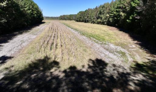 Photo #24 of Off Gaskins Rd, Grimesland, NC 135.3 acres