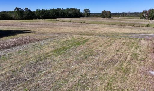 Photo #28 of Off Gaskins Rd, Grimesland, NC 135.3 acres