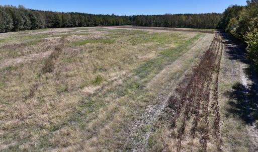 Photo #29 of Off Gaskins Rd, Grimesland, NC 135.3 acres