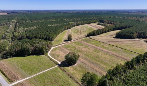 Photo #3 of Off Gaskins Rd, Grimesland, NC 135.3 acres