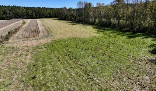 Photo #30 of Off Gaskins Rd, Grimesland, NC 135.3 acres