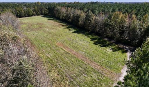 Photo #31 of Off Gaskins Rd, Grimesland, NC 135.3 acres