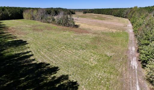 Photo #32 of Off Gaskins Rd, Grimesland, NC 135.3 acres