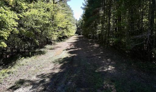 Photo #33 of Off Gaskins Rd, Grimesland, NC 135.3 acres