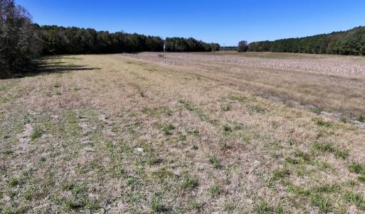 Photo #37 of Off Gaskins Rd, Grimesland, NC 135.3 acres