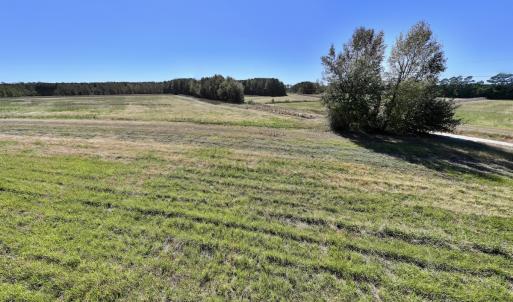 Photo #39 of Off Gaskins Rd, Grimesland, NC 135.3 acres