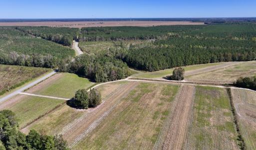 Photo #4 of Off Gaskins Rd, Grimesland, NC 135.3 acres