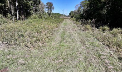 Photo #40 of Off Gaskins Rd, Grimesland, NC 135.3 acres