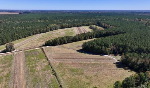 Photo #5 of Off Gaskins Rd, Grimesland, NC 135.3 acres