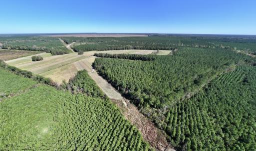 Photo #6 of Off Gaskins Rd, Grimesland, NC 135.3 acres
