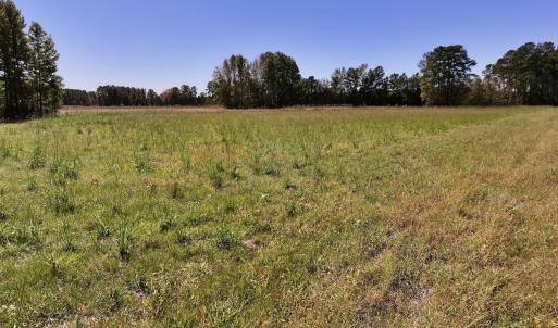 Photo #41 of Off Gaskins Rd, Grimesland, NC 135.3 acres