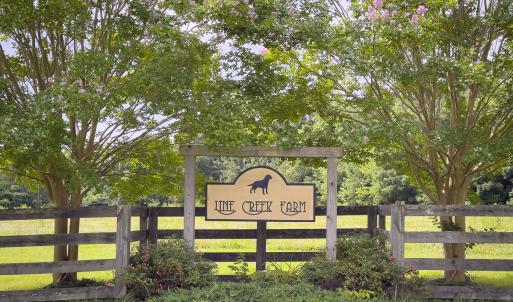 Photo #2 of 390 Line Creek Farm Road, Yanceyville, NC 123.1 acres