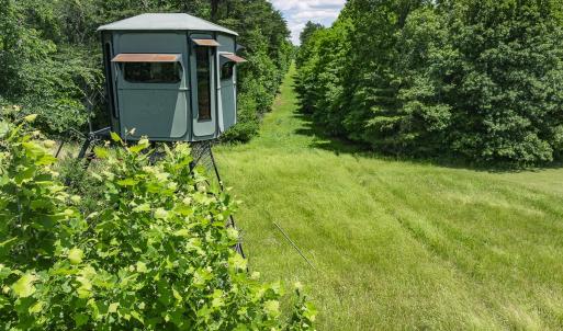 Photo #78 of 390 Line Creek Farm Road, Yanceyville, NC 123.1 acres