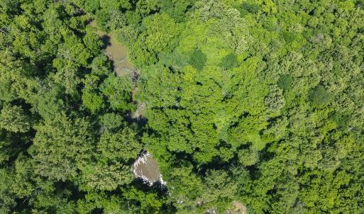 Photo #95 of 390 Line Creek Farm Road, Yanceyville, NC 123.1 acres