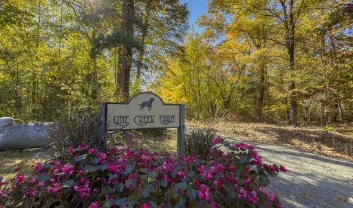 Photo #98 of 390 Line Creek Farm Road, Yanceyville, NC 123.1 acres