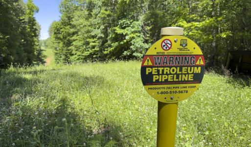 Photo #99 of 390 Line Creek Farm Road, Yanceyville, NC 123.1 acres