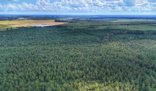 Photo #10 of Off E Pleasant Hill Rd, Pink Hill, NC 81.0 acres