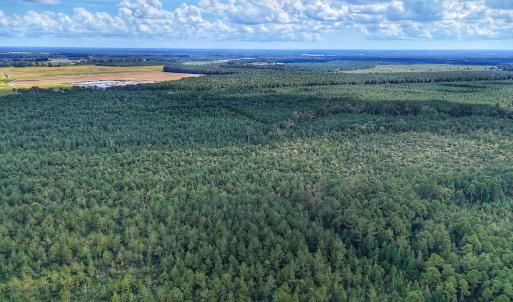 Photo #11 of Off E Pleasant Hill Rd, Pink Hill, NC 81.0 acres