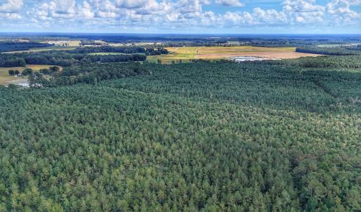Photo #12 of Off E Pleasant Hill Rd, Pink Hill, NC 81.0 acres