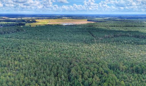 Photo #13 of Off E Pleasant Hill Rd, Pink Hill, NC 81.0 acres