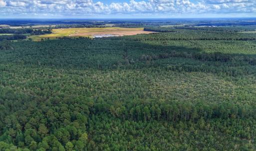 Photo #14 of Off E Pleasant Hill Rd, Pink Hill, NC 81.0 acres