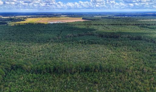 Photo #15 of Off E Pleasant Hill Rd, Pink Hill, NC 81.0 acres