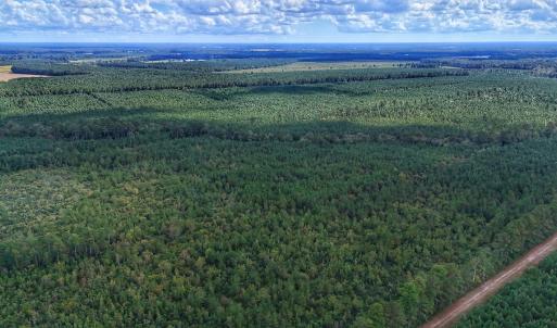 Photo #16 of Off E Pleasant Hill Rd, Pink Hill, NC 81.0 acres