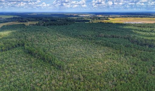 Photo #17 of Off E Pleasant Hill Rd, Pink Hill, NC 81.0 acres