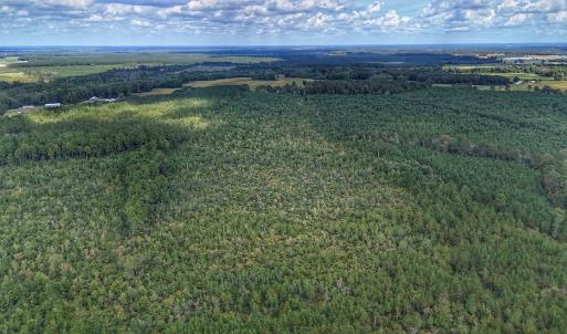 Photo #18 of Off E Pleasant Hill Rd, Pink Hill, NC 81.0 acres