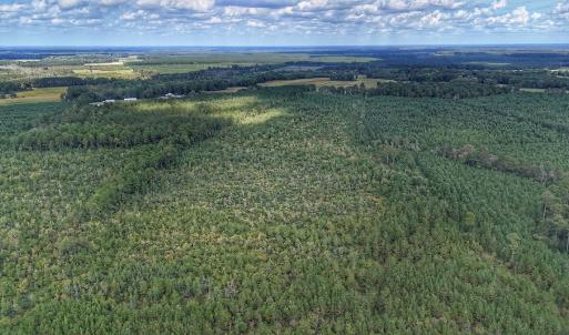 Photo #19 of Off E Pleasant Hill Rd, Pink Hill, NC 81.0 acres