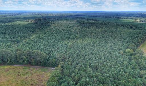 Photo #2 of Off E Pleasant Hill Rd, Pink Hill, NC 81.0 acres