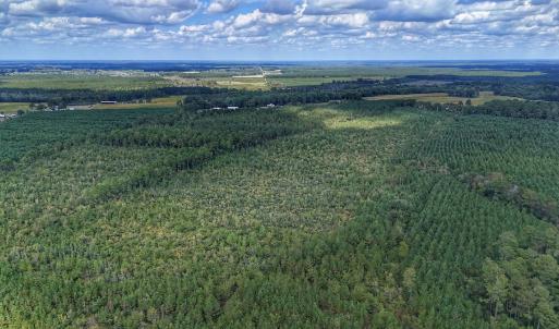 Photo #20 of Off E Pleasant Hill Rd, Pink Hill, NC 81.0 acres