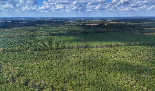 Photo #21 of Off E Pleasant Hill Rd, Pink Hill, NC 81.0 acres