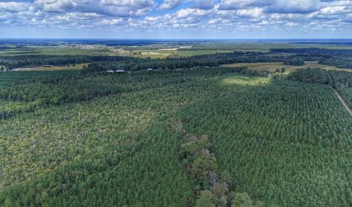 Photo #22 of Off E Pleasant Hill Rd, Pink Hill, NC 81.0 acres