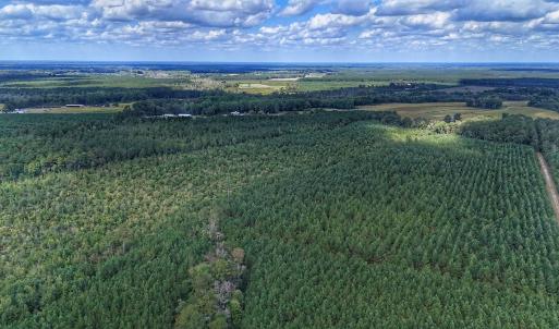 Photo #23 of Off E Pleasant Hill Rd, Pink Hill, NC 81.0 acres