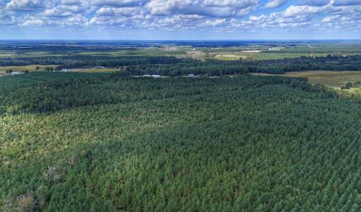 Photo #24 of Off E Pleasant Hill Rd, Pink Hill, NC 81.0 acres