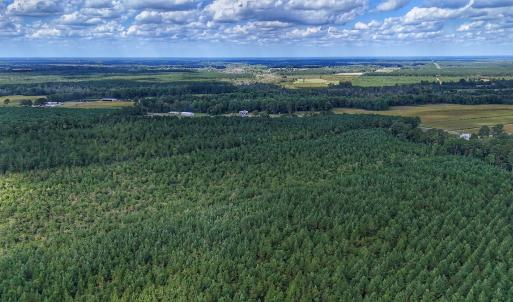 Photo #25 of Off E Pleasant Hill Rd, Pink Hill, NC 81.0 acres