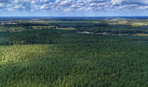 Photo #26 of Off E Pleasant Hill Rd, Pink Hill, NC 81.0 acres