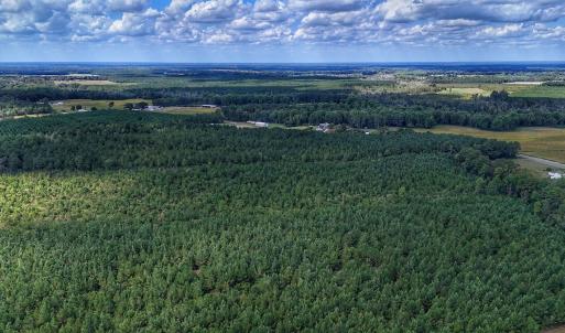 Photo #27 of Off E Pleasant Hill Rd, Pink Hill, NC 81.0 acres