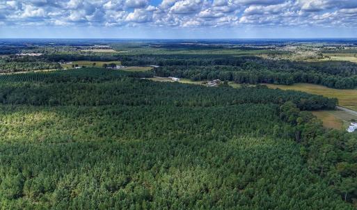 Photo #28 of Off E Pleasant Hill Rd, Pink Hill, NC 81.0 acres