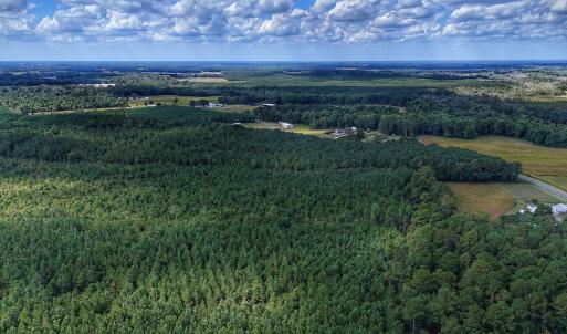Photo #29 of Off E Pleasant Hill Rd, Pink Hill, NC 81.0 acres