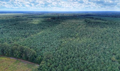 Photo #3 of Off E Pleasant Hill Rd, Pink Hill, NC 81.0 acres