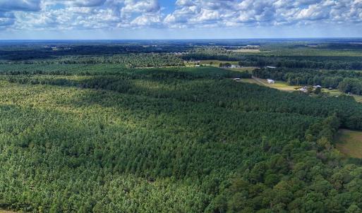 Photo #30 of Off E Pleasant Hill Rd, Pink Hill, NC 81.0 acres