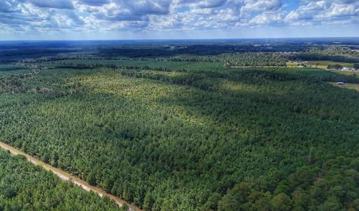 Photo #31 of Off E Pleasant Hill Rd, Pink Hill, NC 81.0 acres