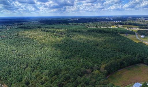 Photo #32 of Off E Pleasant Hill Rd, Pink Hill, NC 81.0 acres